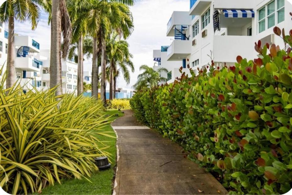 Apartamento Breezy Nights Puerto Rico Loiza Exterior foto